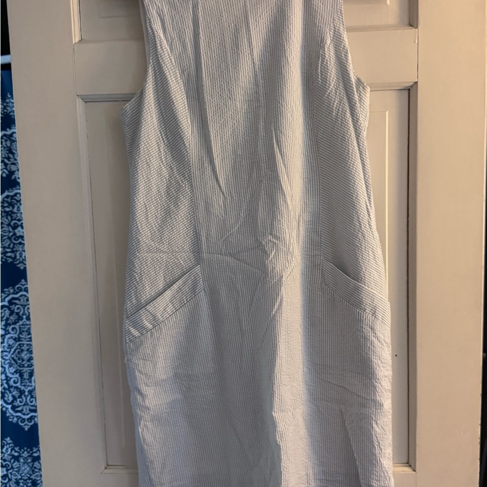 Striped Blue & White Dress